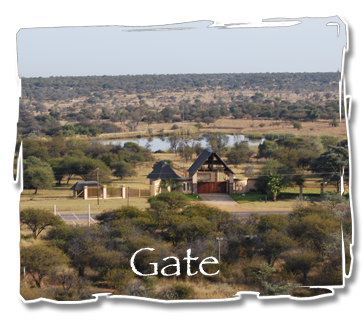 Gate